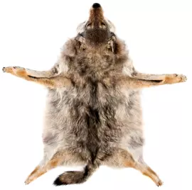 Ковёр из шкуры волка (серый)